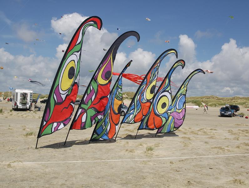Fanø 2009 68.jpg